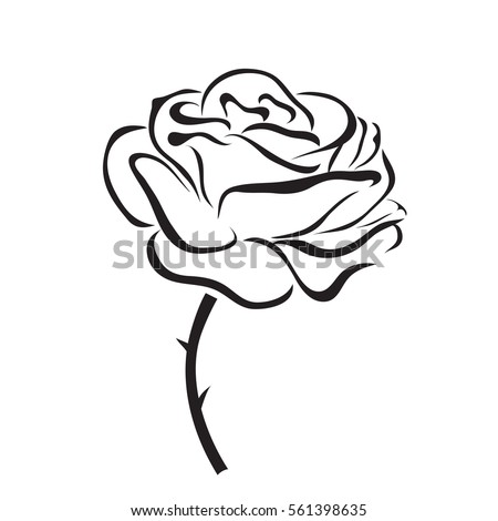 Rose Outline Vector Image | Download Free Vector Art | Free-Vectors