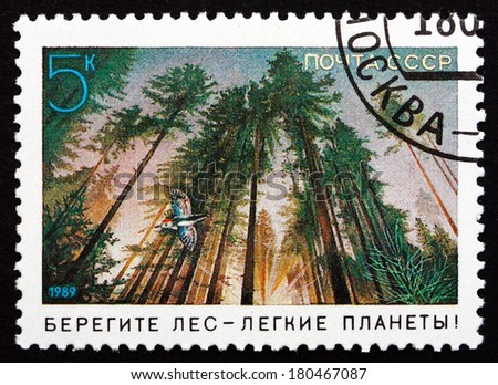 RUSSIA - CIRCA 1989: a stamp printed in the Russia shows Forest, Environmental Protection, circa 1989
