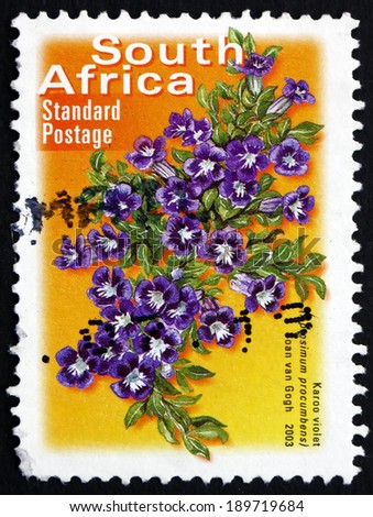SOUTH AFRICA - CIRCA 2003: a stamp printed in South Africa shows Karoo Violet, Aptosimum Procumbens, Perennial Plant, circa 2003