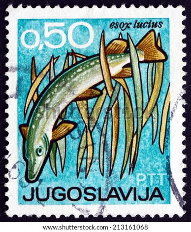 YUGOSLAVIA - CIRCA 1967: a stamp printed in the Yugoslavia shows Pike, Esox Lucius, Fish, International Fishing and Hunting Exposition and Fair, Novi Sad, circa 1967