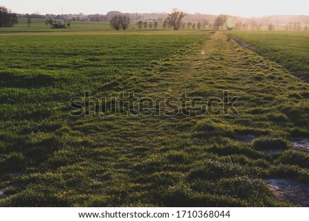 Similar – Image, Stock Photo idyllic rural road feldweg