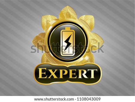  Golden badge with battery charging icon and Expert text inside