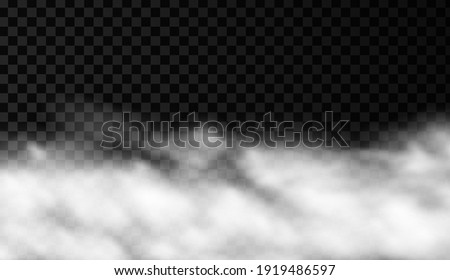 White smoke or fog vector background. Isolated mist transparent effect. Steam texture illustration. Powder explosion concept.