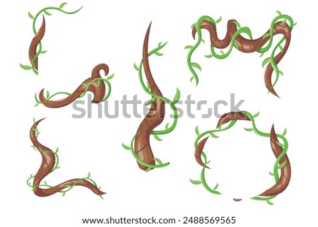 Vector plant creeper cartoon set. Green vine. Tree foliage. Rainforest liana. Cartoon plants. Creeper branch. Jungle liana creeping vines with leaves formed in rectangle and circle frames