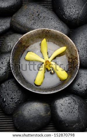 Yellow orchid in water bowl with stones on wet stones