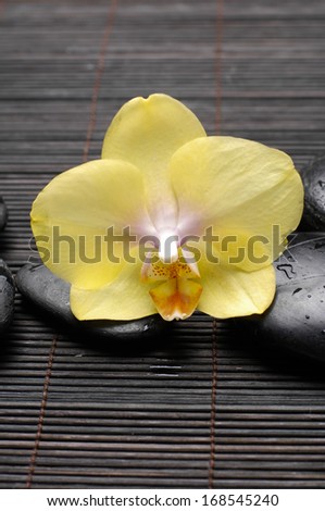 Macro of yellow orchid and zen Stones on bamboo mat