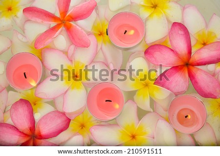 Top view frangipani flowers with four candle in the water