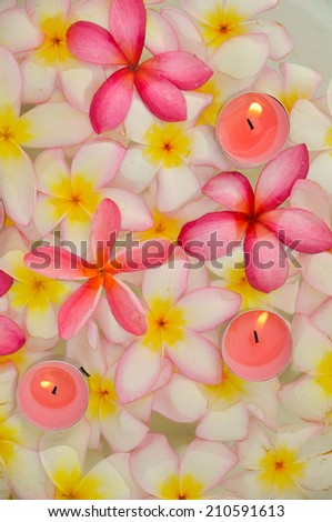 Many frangipani flowers with pink three candle in the water