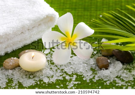 Spa setting on thin green grove with pile of salt