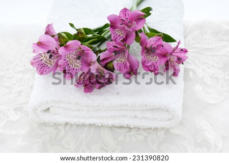 Set of branch pink orchid on towel and white lace - Stock Image - Everypixel