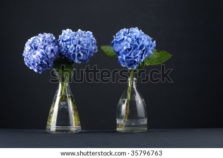 blue hydrangea in glass vase