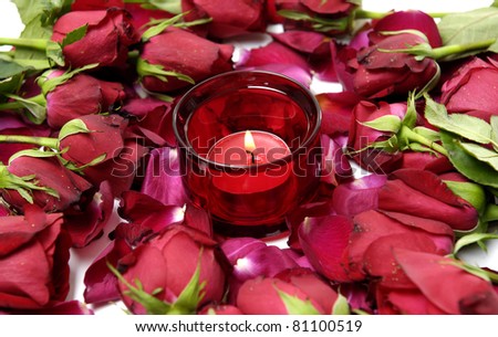 Rose with rose petals and burning candle