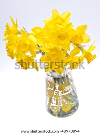 Vase of daffodils on a soft gray background.