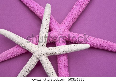 Background image of a pair of starfish on a purple background.