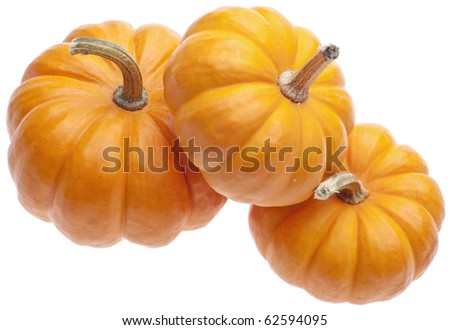 Festive Fall Pumpkins Isolated on White with a Clipping Path.