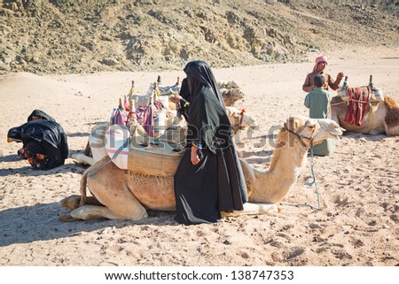 HURGHADA, EGYPT - APR 16: Unidentified bedouin people with camels resting on desert near Hurghada, April 16, 2013. Camel ride on the desert is one of the main local tourist attraction in Egypt.