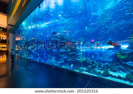 DUBAI, UAE - 1 APRIL 2014: Huge Oceanarium inside Dubai Mall. It is the largest indoor aquarium in the world at a length of 50 meters long and 10 million litres of water.