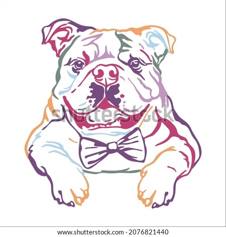 English bulldog color contour portrait. Dog head in front view vector illustration isolated on white. For decoration, design, print, posters, postcards, stickers, t-shirt, cricut,tattoo and embroidery