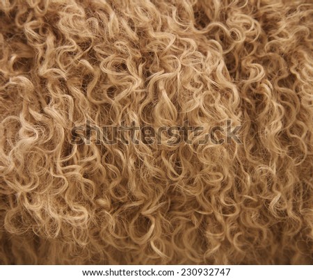 Animal Fur Stock Photo 230932747 : Shutterstock
