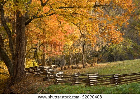 Mountain forest with split rail fence, fall colors