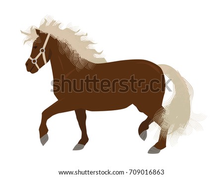 Mini horse or pony in vector isolated on white background