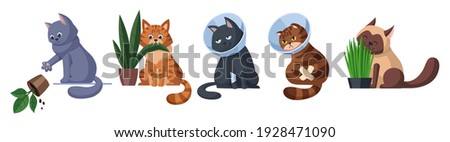 Cats in different situations set. Cat throws off the plant. Cat is eating a plant. Two cats in Elizabethan collars. Cat eats sprouted oats. Pet care concept illustration. Isolated on white background.