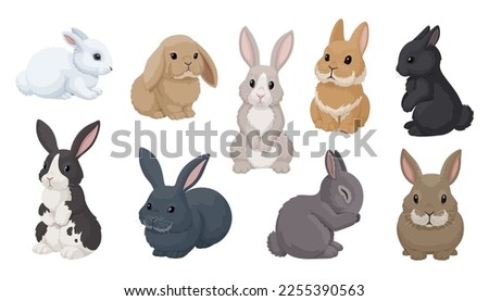 Vector set of cute rabbits in cartoon style. Decorative bunnies in different poses and colors. Bunnies illustration for easter decoration. Isolated on white background