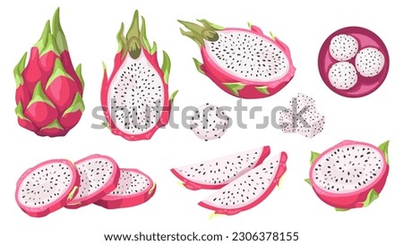 Vector collection of dragon fruit, or pitahaya, or pitahaya. Tropical exotic fruit pitaya on a white background, whole, half, pieces and balls. Isolated on white background. Stock vector
