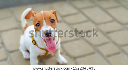 Shutterstock Puzzlepix