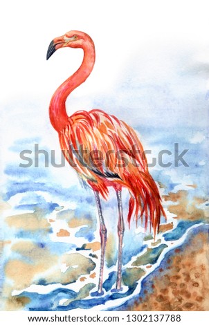 Flamingo on the seashore, watercolor painting. Red flamingo (Phoenicopterus ruber), zoological illustration, hand drawing.