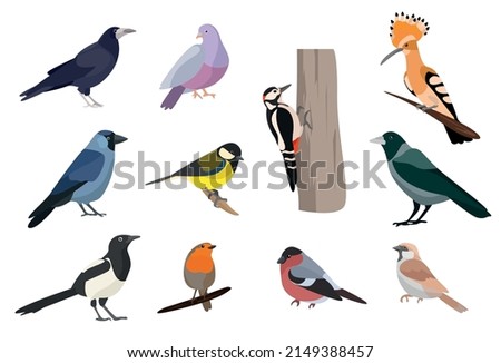 Similar – Image, Stock Photo Crows and magpie on the top sitting on big oak`s branches. Birds sit on a leafless branch against the evening blue sky with the moon. Silhouette of dry tree branches with birds and the moon. Winter season, night landscape, wallpaper, copy space