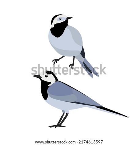 Simple Birds illustration collection vector
