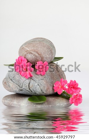 Stones and flowers on white background