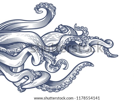Tentacles of an octopus. Hand drawn vector illustration in engraving technique isolated on white background.  