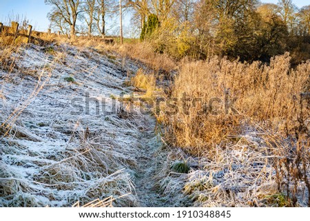Similar – Image, Stock Photo frosty walk Feet Plant