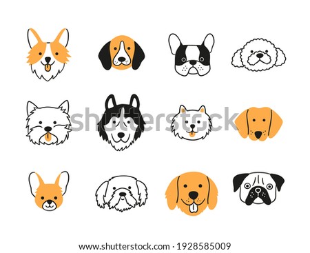 Set of heads of different breeds dogs. Corgi, Pug, Chihuahua, Terrier, Retriever, Dachshund, Poodle. Collection of dog faces Hand drawn isolated vector illustration in doodle style on white background