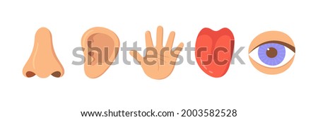 Five human senses organ set. Nose, ear, hand, tongue, eye. Sensory organs set. See, hear, feel, smell and taste. Elements for an educational manual. Vecor illustrations isolated on white background. ストックフォト © 