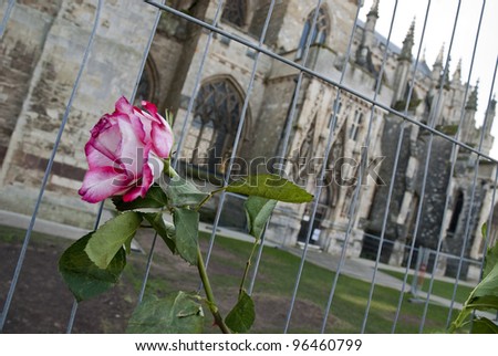 EXETER - FEBRUARY 11: A flower tied onto the temporary fencing surrounding the area that was used by Exeter Occupy activists to have their camp  on February 11, 2012 in Exeter, UK