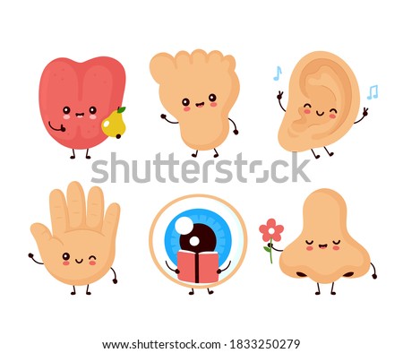 Cute happy human senses organ set collection. Vector flat illustration icon design.Human cute nose, eye, hand, ear, tongue, foot characters bundle concept
