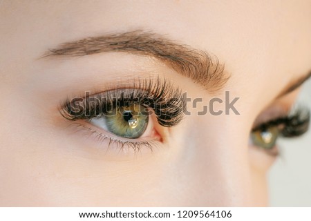Close up view of beautiful green female eye with long eyelashes, smooth healthy skin. Eyelash extension procedure. Perfect trendy eyebrows. Good vision, contact lenses. Eye health and care.  Stockfoto © 