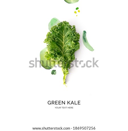 Creative layout made of green kale with watercolor spots on the white background. Flat lay. Food concept.