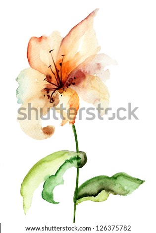 Yellow Lily flower, watercolor illustration