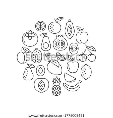 Fruit circle banner. Flat line icons. Food set with apple, banana, apricot, cherry, orange, lemon, pear, mango. Vector illustration. 