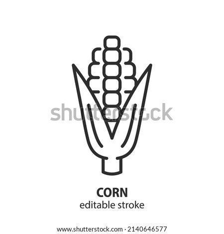 Corn line icon. Ear of corn vector sign. Editable stroke.