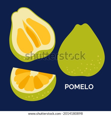 Set of vector hand drawn illustration of tropical pomelo fruit. Collection of tropical fruit isolated on dark background