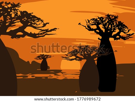 sunset with landscape of baobab trees. Forest of Boab or Baobab Tree background. Vector cartoon illustration, Andasonia tree silhouette icon