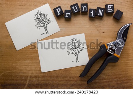Instructions for cutting trees with special scissors.