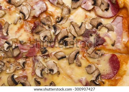 Background of the food base for mushroom pizza toppings.