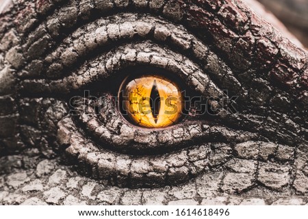 Closeup yellow eye of the dinosaurs with terrifying. Dinosaur hunters are staring with horrible yellow eye. Dinosaur eye. Stockfoto © 