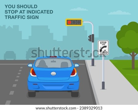 Safe driving tips and traffic regulation rules. Stop here on red signal rule. Back view of car stopped at pedestrian crossing. Flat vector illustration template.